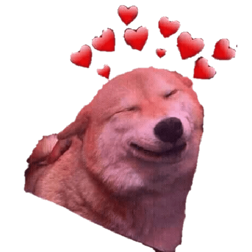 Perritos 3