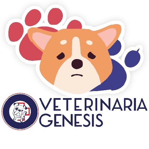 Vet Génesis emojis  22