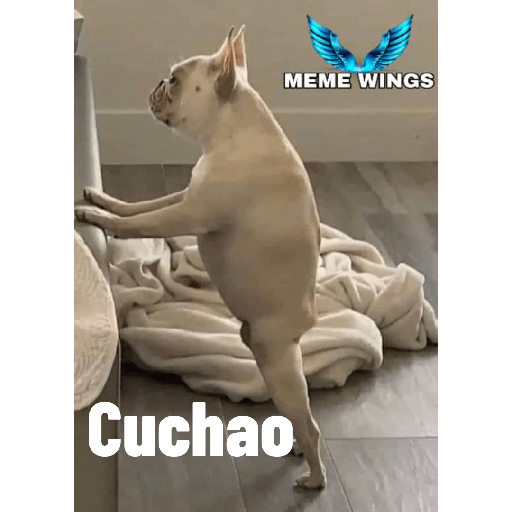 Perritos raros 4
