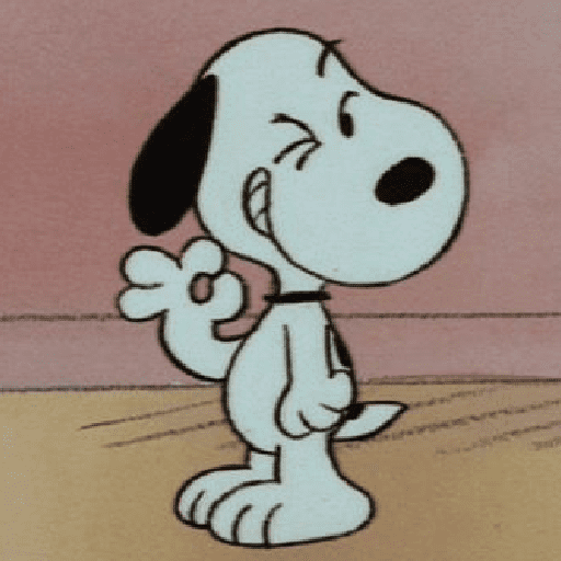 Snoopy 13