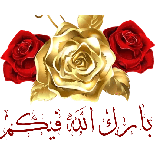 Phool 6