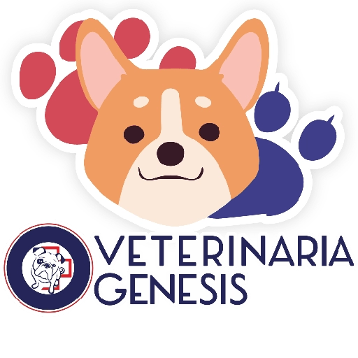 Vet Génesis emojis  24