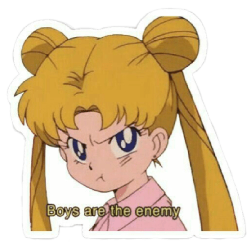 Sailor moon✨🩷 9