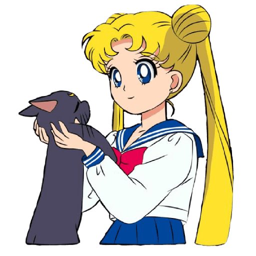 Sailor moon✨🩷 8