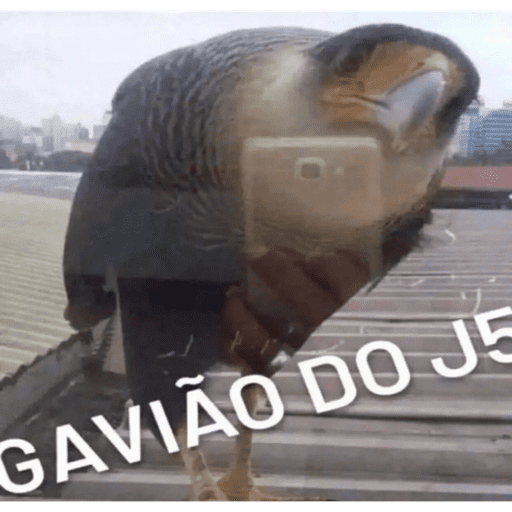 Eita moreh 13