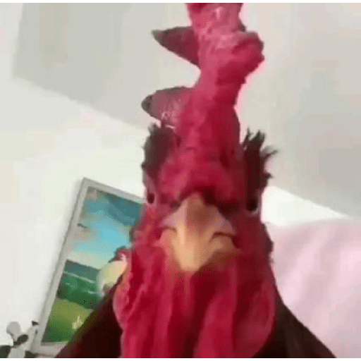 Eita moreh 6