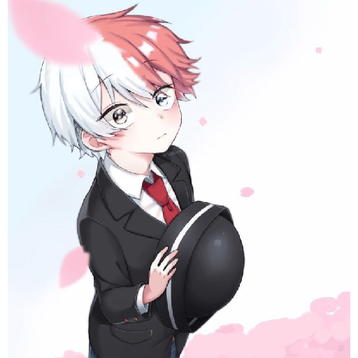 Todoroki chiquito 26