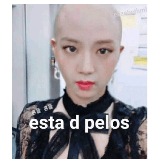 Blackpink 17