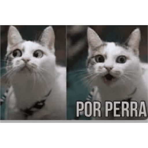 Memes de todo 7