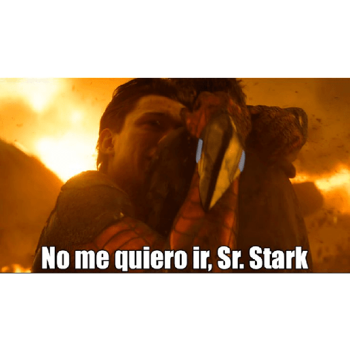 Oii 13