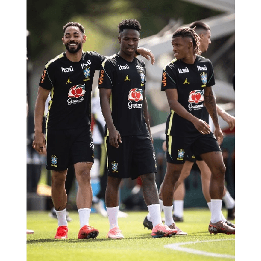 Brasil 🇧🇷 Treino 💪 1