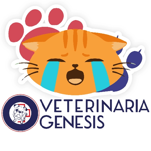 Vet Génesis emojis  18