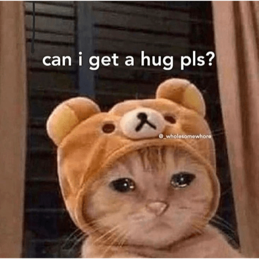 Cats 27
