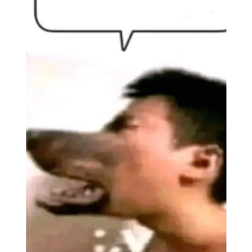 Muah 15