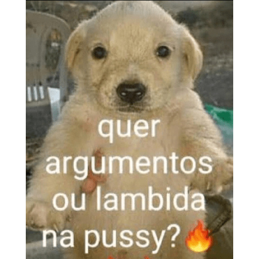 Eita moreh 11