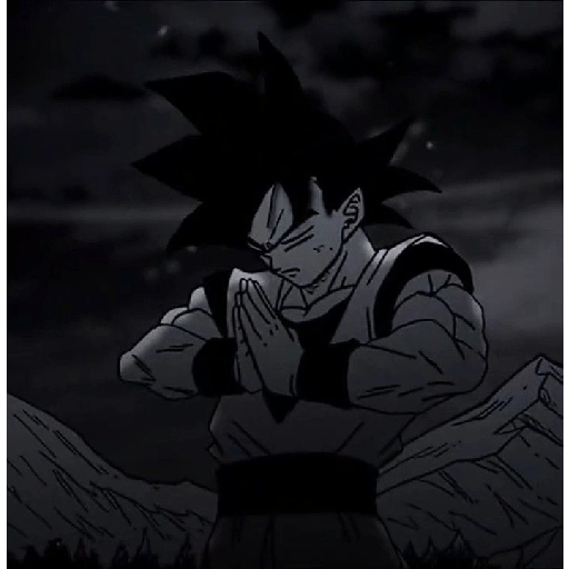 Son Goku 22 11