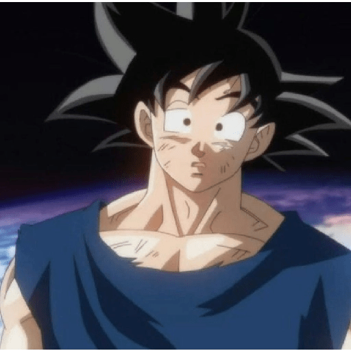 Son Goku 22 15