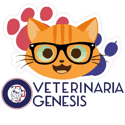 Vet Génesis emojis  28