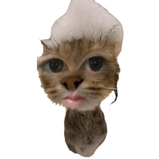 Random 1 14