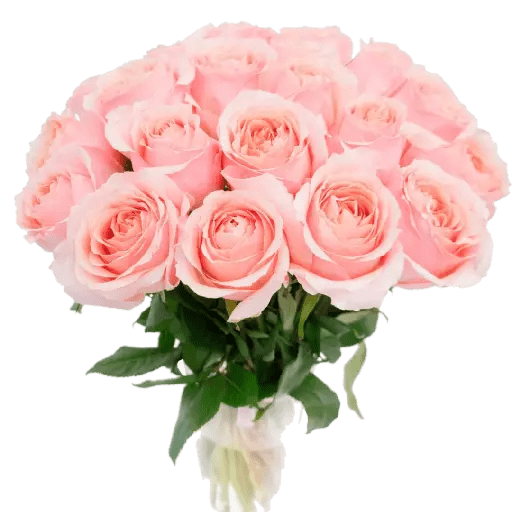 Phool 11