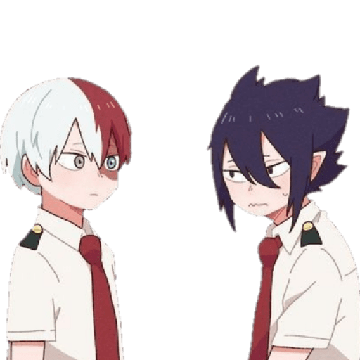 Todoroki chiquito 10