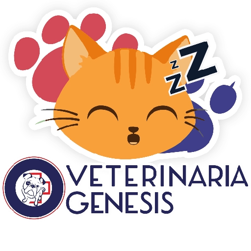 Vet Génesis emojis  30