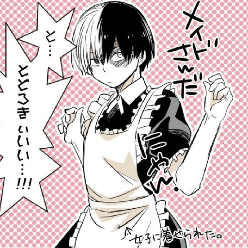 Todoroki chiquito 25