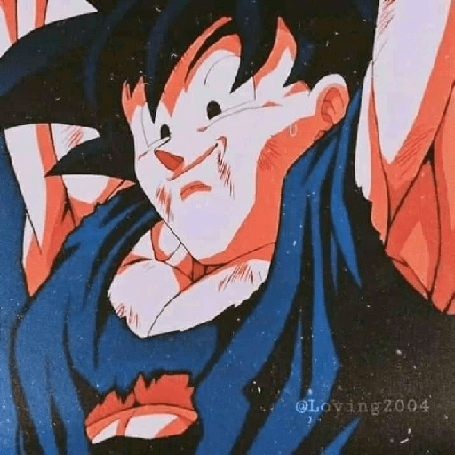 Son Goku 22 14