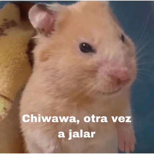 Memes 57 18