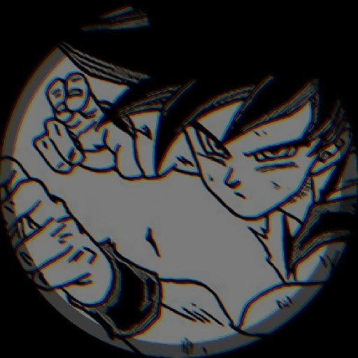 Son Goku 22 12