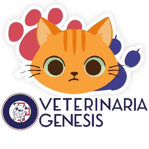 Vet Génesis emojis  27