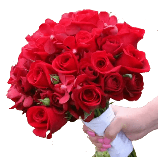 Phool 1