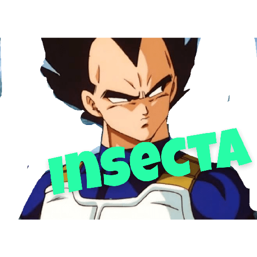 Navidad vegueta 5