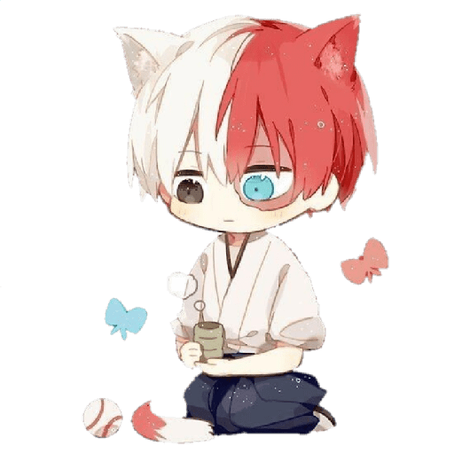 Todoroki chiquito 8