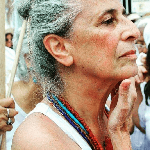 News Abelha Rainha 18