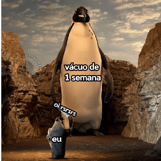 Memes e frases 28