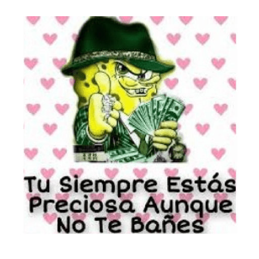 Bob cholo 5