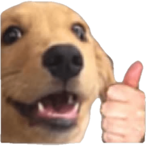 Memes 57 21