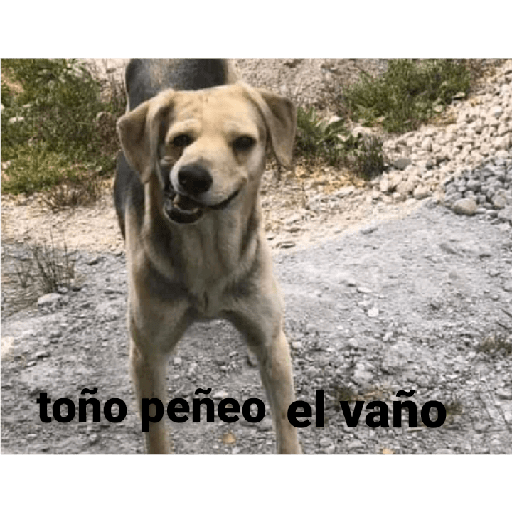 Eso tilin 29