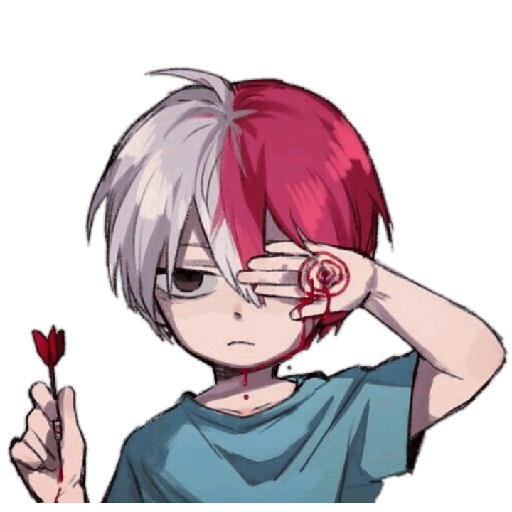 Todoroki chiquito 12