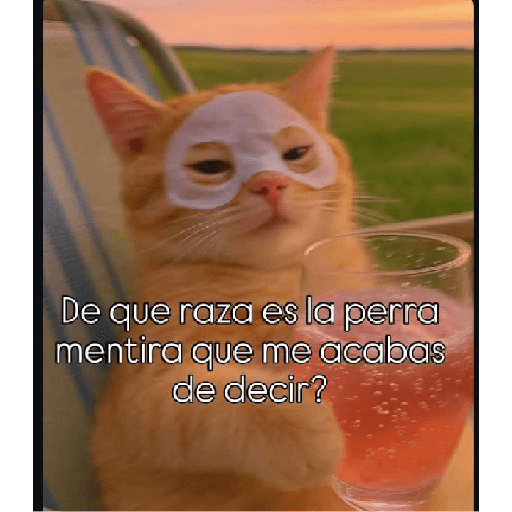 Memes de todo 6