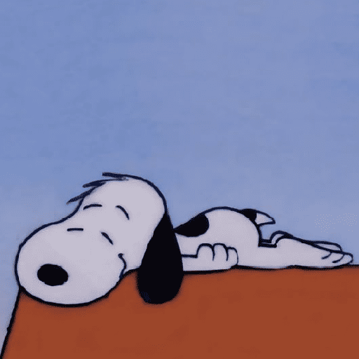 Snoopy 3