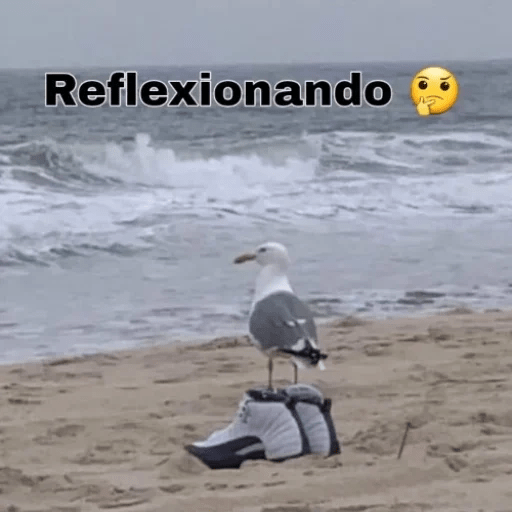 Shitpost Pa' Enviar 🤠 7