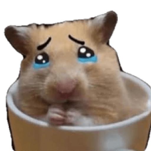 Memes 57 14