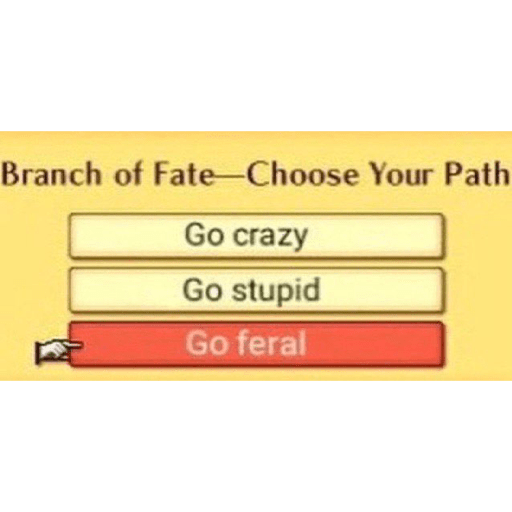 Funny 15