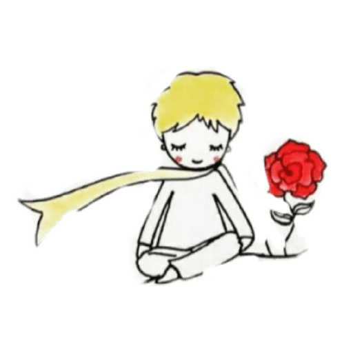 El principito 5