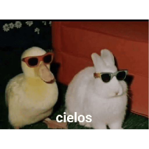 Memes de todo 3