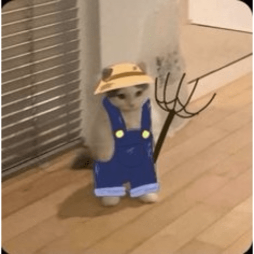 Cats 13