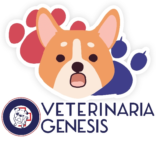 Vet Génesis emojis  19