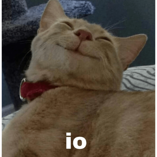 Gatitos y algunos perros 15